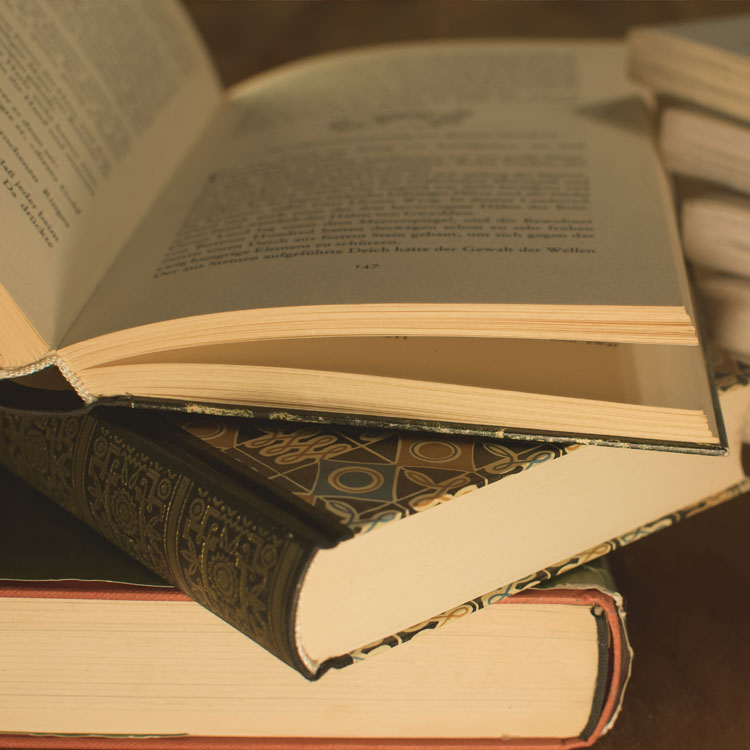 Traffic Law Books